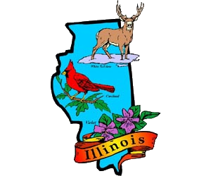 State Symbol